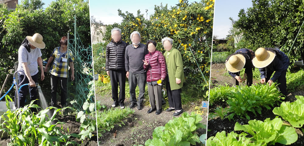 出町茶論活動の様子２