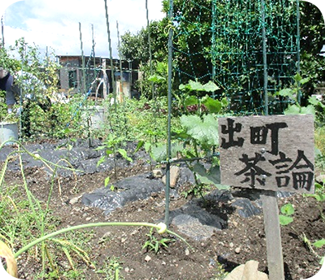 プログラム紹介